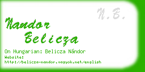 nandor belicza business card