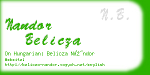 nandor belicza business card